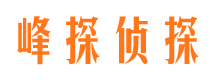 振兴侦探公司